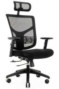 Ergofly Sail E