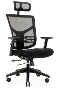 Ergofly Sail E