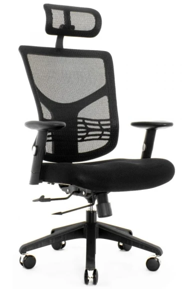 Fotele-ergonomiczne.-Krzesla-biurowe-ERGOFLY-SRAR-E-ste-01mf-t01-1-e1750420213484.jpeg